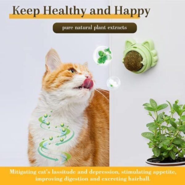 Catnip Balls That Stick On Wall Catnip Balls For Cat Catnip Toys For Cats Healthy Kitty Teeth Cleaning Dental Chew Toys Cat Wall Treats - Image 7