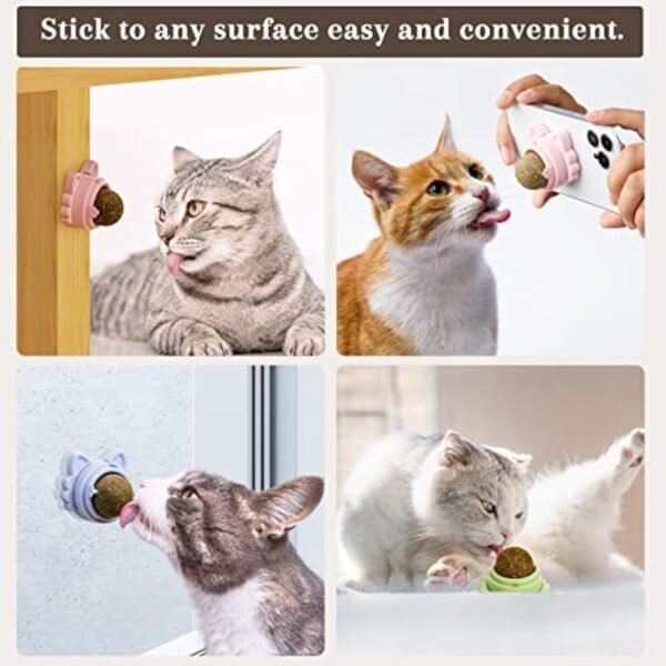 Catnip Balls That Stick On Wall Catnip Balls For Cat Catnip Toys For Cats Healthy Kitty Teeth Cleaning Dental Chew Toys Cat Wall Treats - Image 2